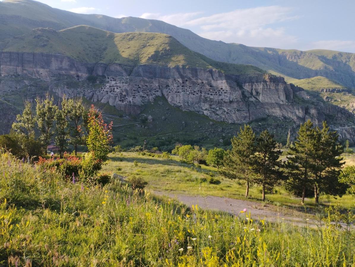 Bed and Breakfast Сhachkari Вардзіа Екстер'єр фото