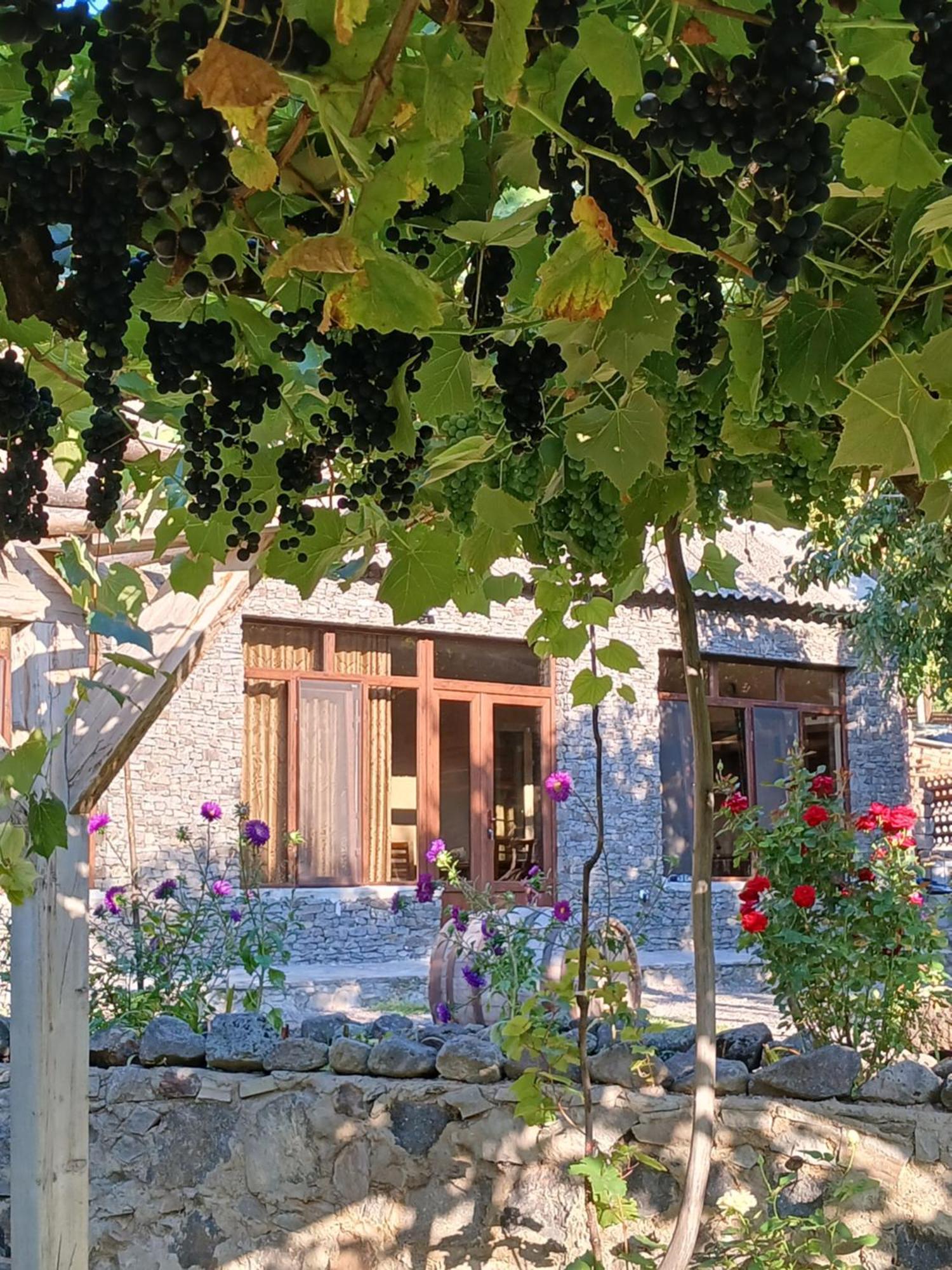 Bed and Breakfast Сhachkari Вардзіа Екстер'єр фото